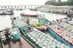 该公司是省级牡蛎良种场、省级菲律宾蛤仔